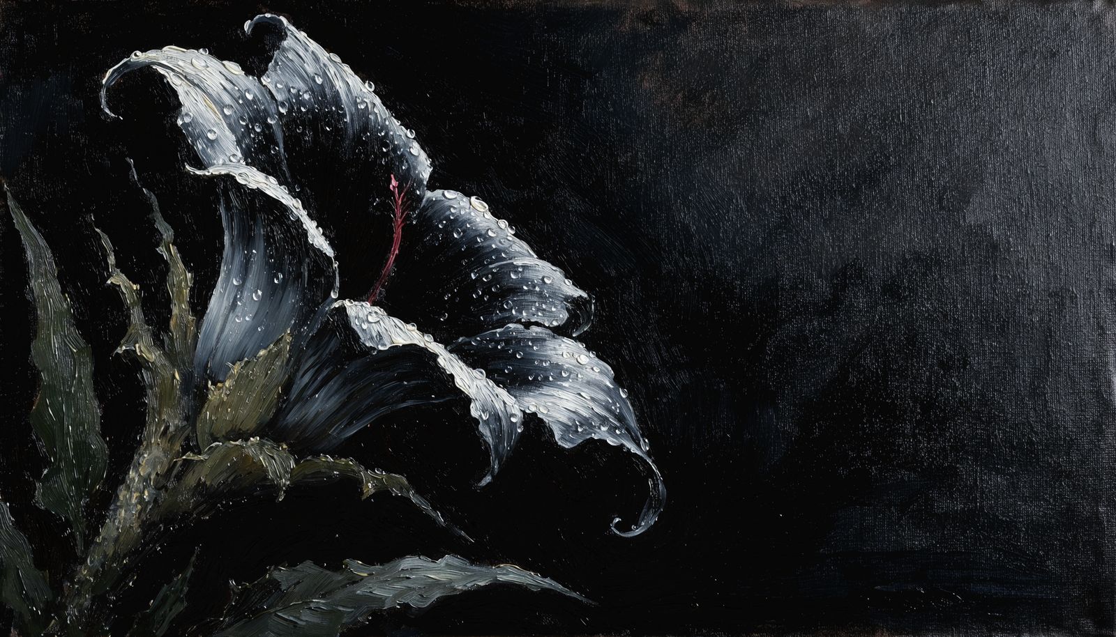 A black moonflower opening at night, dew on its petals